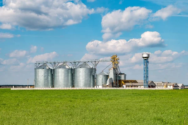 Agro-processamento para processamento e silos para secagem cleani — Fotografia de Stock