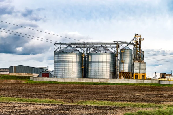 Tarımsal ürünlerin, un, tahıl ve tahıl ile güzel bulutların temizlenmesi ve saklanması için işleme ve Silolar için tarımsal işleme tesisi