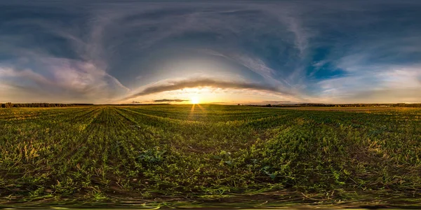 Full seamless spherical hdri panorama 360 degrés vue d'angle parmi les champs en été coucher de soleil du soir avec des nuages impressionnants bleu rose rouge en projection équirectangulaire, prêt pour VR AR réalité virtuelle — Photo