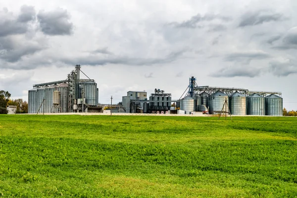 Planta de transformación y fabricación de productos agrícolas para la transformación y el ensilado — Foto de Stock