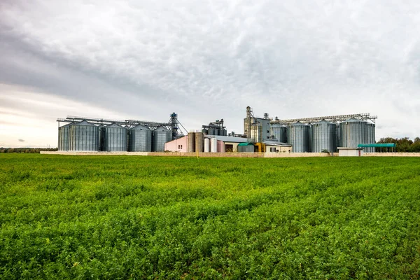 Agro-processing and manufacturing plant for processing and silve — Stock Photo, Image