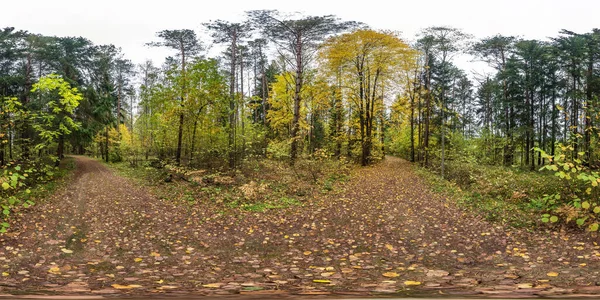 Full seamless spherical hdri panorama 360 graus ângulo de visão na estrada pedonal na floresta de outono em conteúdo de projeção equiretangular. pronto para o conteúdo de realidade virtual AR VR — Fotografia de Stock