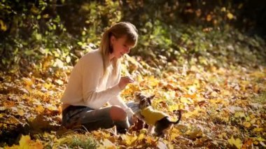 Kız sonbahar ormanında yerde oturur ve Yorkshire Teriyeri 'nin küçük köpeğiyle oynar.
