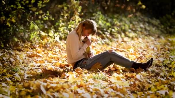 Menina Senta Chão Floresta Outono Brinca Com Yorkshire Terrier Pequeno — Vídeo de Stock