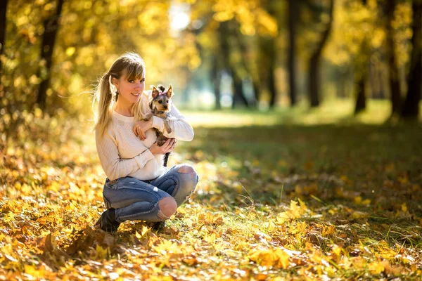 Ragazza si siede a terra nella foresta autunnale e gioca con Yorkshire Terrier piccolo cane — Foto Stock