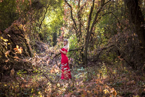 Gyönyörű manó lány piros ruhában az őszi erdőben. erdő fantázia mese — Stock Fotó