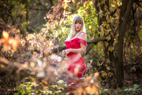 Belle elfe en robe rouge dans la forêt d'automne. forêt fantaisie conte de fées — Photo