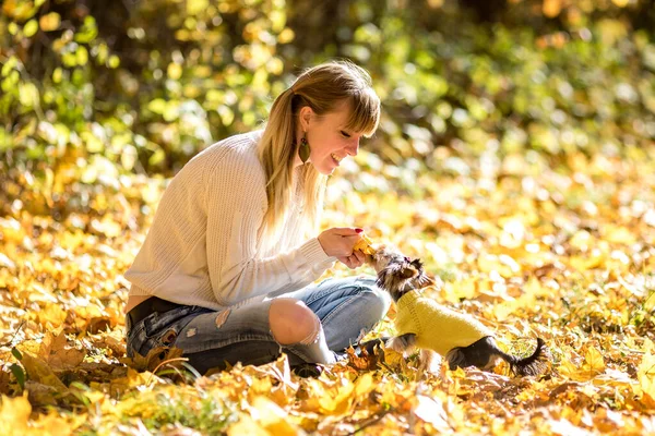 Flicka sitter och koppla av på marken i höstskogen och leker — Stockfoto