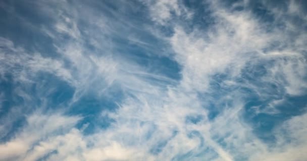 Timelapse Blue Sky Background Tiny Stratus Cirrus Striped Fluffy Clouds — Video