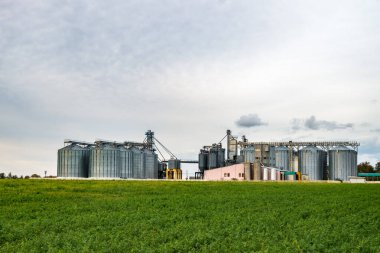 Tarımsal işleme ve üretim tesisi işleme ve gümüşü için