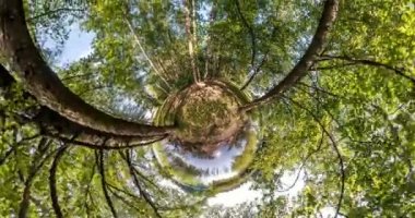 Uzayın kıvrımlı küçük bir gezegen dönüşümü. Soyut bükülme ve ormandaki tüm uçuş panoramalarının döndürülmesi. İHA havalanıyor ve dönüyor