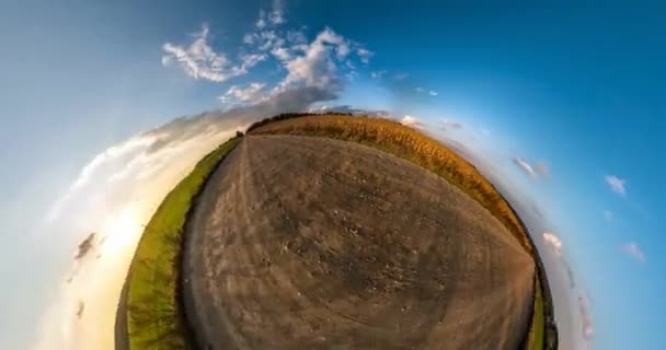 Piccolo Pianeta Trasformazione Con Curvatura Dello Spazio Torsione Astratta Filatura — Video Stock