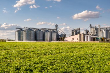 Tarımsal ürünlerin, unun, tahılın ve tahılın temizlenmesi ve depolanması için tarım işleme ve imalat tesisi ve gümüş siloları. Granary asansörü. 