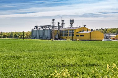 Tarımsal ürünlerin, unun, tahılın ve tahılın temizlenmesi ve depolanması için tarım işleme ve imalat tesisi ve gümüş siloları. Granary asansörü. 