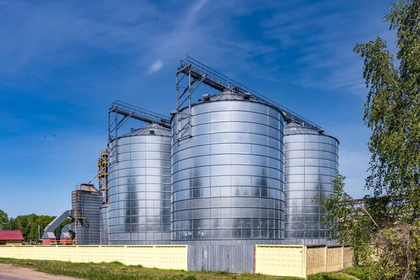 Impianto Agrotrasformazione Produzione Lavorazione Silos Argento Essiccazione Pulizia Stoccaggio Prodotti — Foto Stock