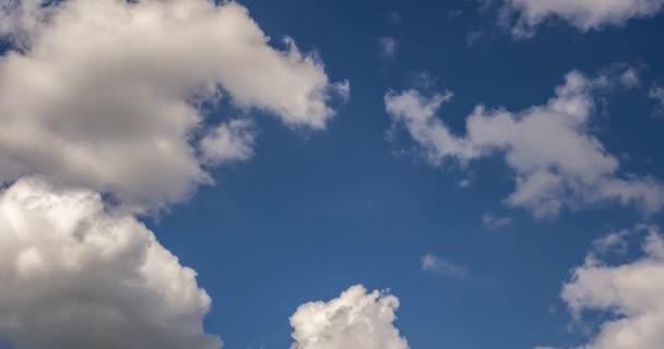 Time Lapse Clip Van Verschillende Pluizige Krullende Wolkenlagen Bij Winderig — Stockvideo