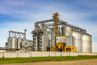 Tarımsal ürünlerin, unun, tahılın ve tahılın temizlenmesi ve depolanması için tarım işleme ve imalat tesisi ve gümüş siloları. Granary asansörü. 