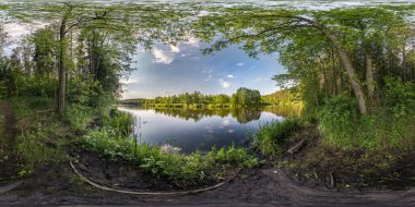 Pürüzsüz küresel hdri panorama 360 derecelik açıyla nehir veya göl kenarındaki orman çalıları arasında yürüme yolu eşdörtgen projeksiyonlu, hazır VR AR sanal gerçeklik içeriği