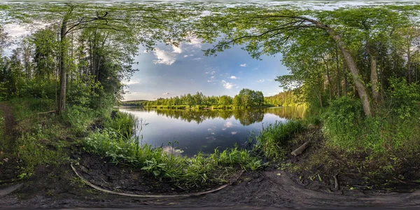 Pürüzsüz küresel hdri panorama 360 derecelik açıyla nehir veya göl kenarındaki orman çalıları arasında yürüme yolu eşdörtgen projeksiyonlu, hazır VR AR sanal gerçeklik içeriği