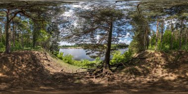 Pine Ormanı 'nda 360 derecelik açılı kusursuz küresel hdri panorama. Nehir kenarındaki sakar ağaç kökleri eş dikdörtgen projeksiyonda. VR AR sanal gerçeklik içeriğine hazır.