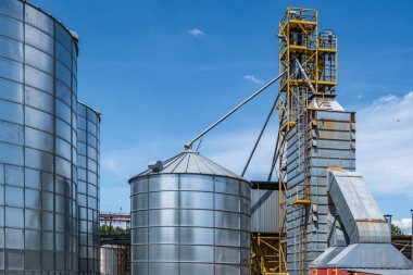 Tarımsal ürünlerin, unun, mısır gevreğinin ve tahılın kuru temizleme ve depolanması için tarım işleme ve imalat tesisinde gümüş silolar. Granary asansörü. 