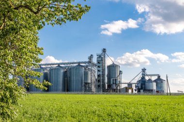 Tarımsal ürünlerin, unun, mısır gevreğinin ve tahılın kuru temizleme ve depolanması için tarım işleme ve imalat tesisinde gümüş silolar. Granary asansörü. 