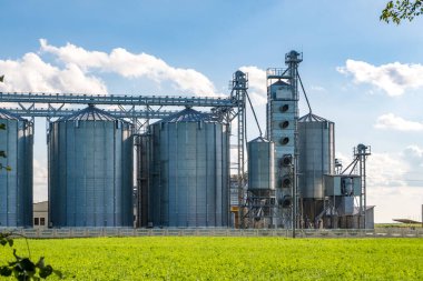 Tarımsal ürünlerin, unun, mısır gevreğinin ve tahılın kuru temizleme ve depolanması için tarım işleme ve imalat tesisinde gümüş silolar. Granary asansörü. 