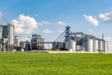 Tarımsal ürünlerin, unun, mısır gevreğinin ve tahılın kuru temizleme ve depolanması için tarım işleme ve imalat tesisinde gümüş silolar. Granary asansörü. 