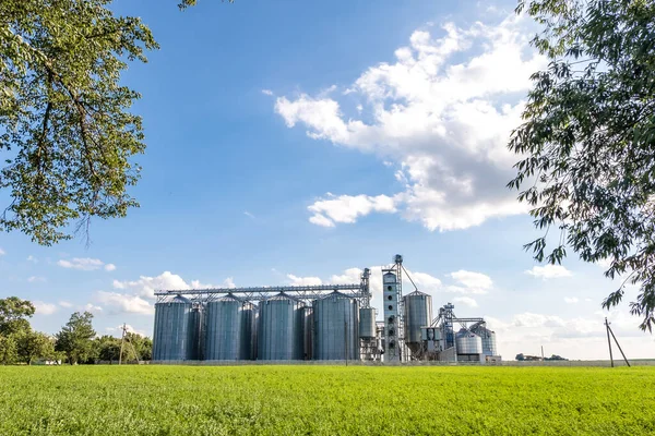 Silver Silos Agro Processing Manufacturing Plant Processing Drying Cleaning Storage — Stock Photo, Image