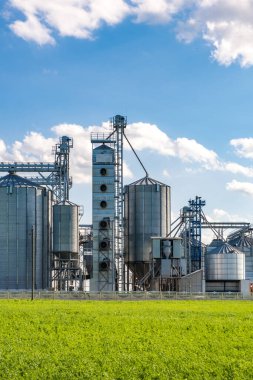 Tarımsal ürünlerin, unun, mısır gevreğinin ve tahılın kuru temizleme ve depolanması için tarım işleme ve imalat tesisinde gümüş silolar. Granary asansörü. 