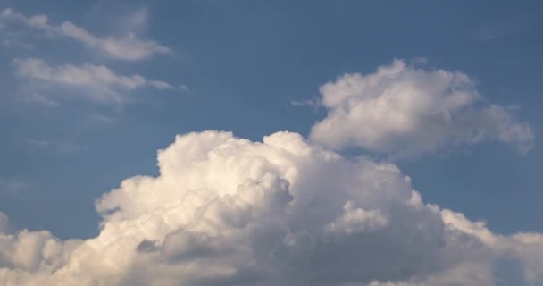 Time Lapse Klipp Flera Fluffiga Lockigt Rullande Moln Lager Blåsigt — Stockvideo