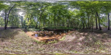 Tam dikişsiz küresel hdri panorama 360 derece açıyla küçük nehrin kıyısındaki çalılar ve orman ağaçları arasında eş dikdörtgen projeksiyonla, sanal gerçeklik içeriğine hazır