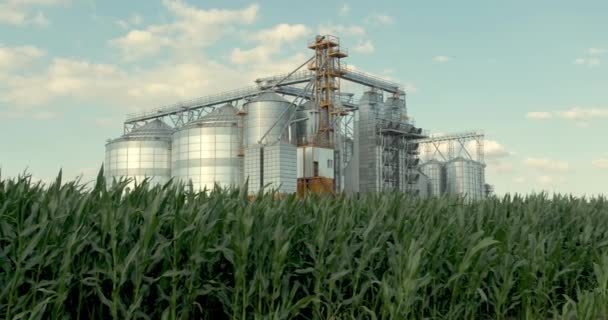 Moderner Kornspeicher Aufzug Silbersilos Auf Einer Landwirtschaftlichen Verarbeitungs Und Produktionsanlage — Stockvideo