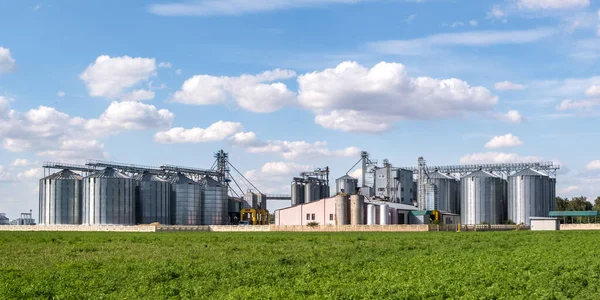 Elevador Celeiro Moderno Silos Prata Agro Processamento Fábrica Para Processamento — Fotografia de Stock