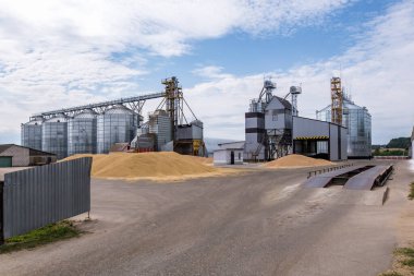 Modern Granary asansörü. Tarım işleme ve imalat tesisinde tarım ürünleri, un, tahıl ve tahıl işleme ve depolama için gümüş silolar. 