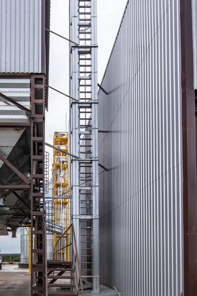 Modern Granary asansörü. Tarım işleme ve imalat tesisinde tarım ürünleri, un, tahıl ve tahıl işleme ve depolama için gümüş silolar. 