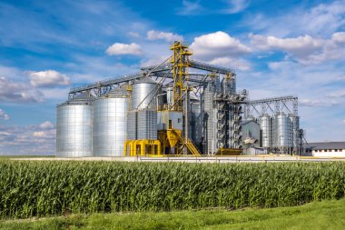 Modern Granary asansörü. Tarım işleme ve imalat tesisinde tarım ürünleri, un, tahıl ve tahıl işleme ve depolama için gümüş silolar. 
