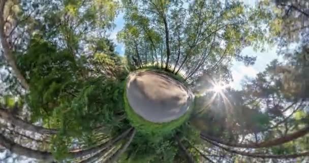Маленька Планета Перетворення Викривленням Простору Анотація Торсіона Обертання Повного Прольоту — стокове відео