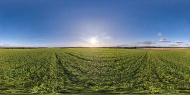 Tam dikişsiz küresel hdri panorama 360 derece açıyla yaz günü tarlalar arasında görünüm eşdikdörtgen yansıtmalı temiz gökyüzü, VR AR sanal gerçeklik içeriği için hazır