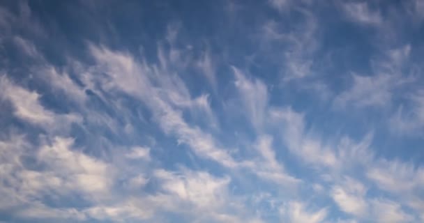 Timelapse Blue Sky Background Tiny Stratus Cirrus Striped Clouds Clearing — Stock Video