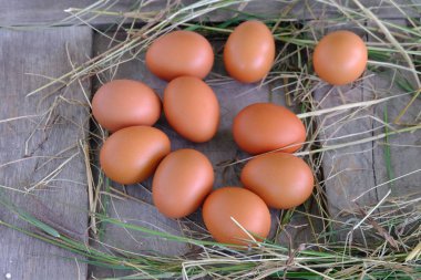 Tavuk yumurta yuvada saman eski ahşap zemin üzerine