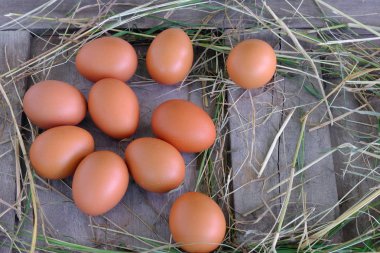 Tavuk yumurta yuvada saman eski ahşap zemin üzerine