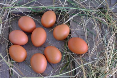 Tavuk yumurta yuvada saman eski ahşap zemin üzerine