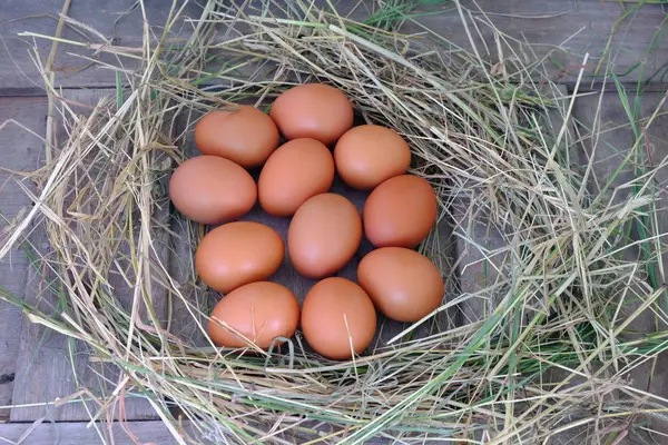 Tavuk yumurta yuvada saman eski ahşap zemin üzerine