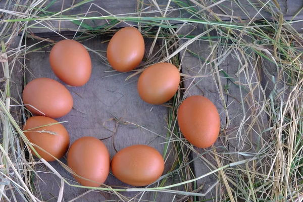 Курячі Яйця Гнізді Соломи Старому Дерев Яному Фоні — стокове фото