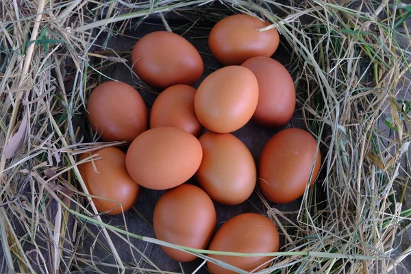 Chicken Eggs Nest Straw Old Wooden Background — Stock Photo, Image