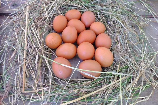 Курячі Яйця Гнізді Соломи Старому Дерев Яному Фоні — стокове фото