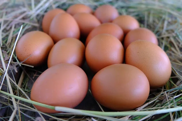 鸡蛋在秸秆巢在老木背景 — 图库照片