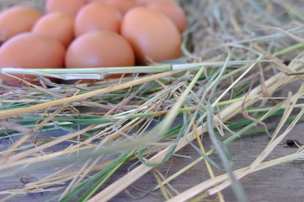 Курячі Яйця Гнізді Соломи Старому Дерев Яному Фоні — стокове фото