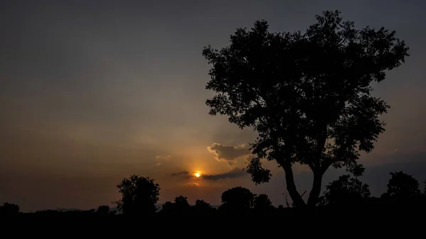 Dunkle Silhouetten Von Bäumen Und Atemberaubender Bewölkter Himmel Bei Sonnenuntergang — Stockfoto